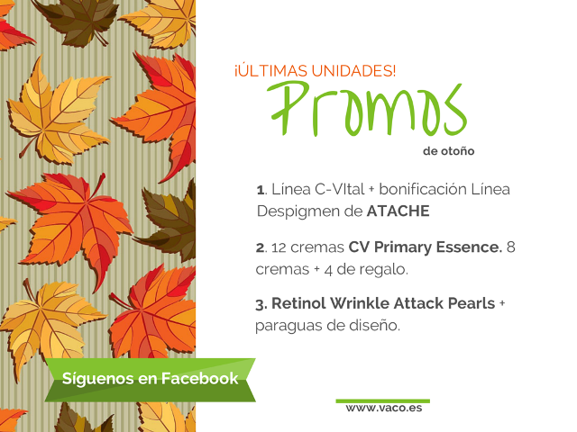 promo otoño concepto vaco