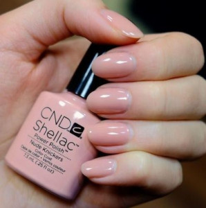 Curso de introducción a SHELLAC 